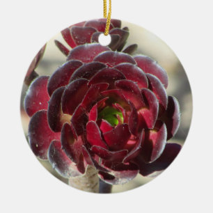 Mästare Gardener Desert Landscaper Photo Red Plant Julgransprydnad Keramik