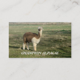 MästareAlpacas Visitkort