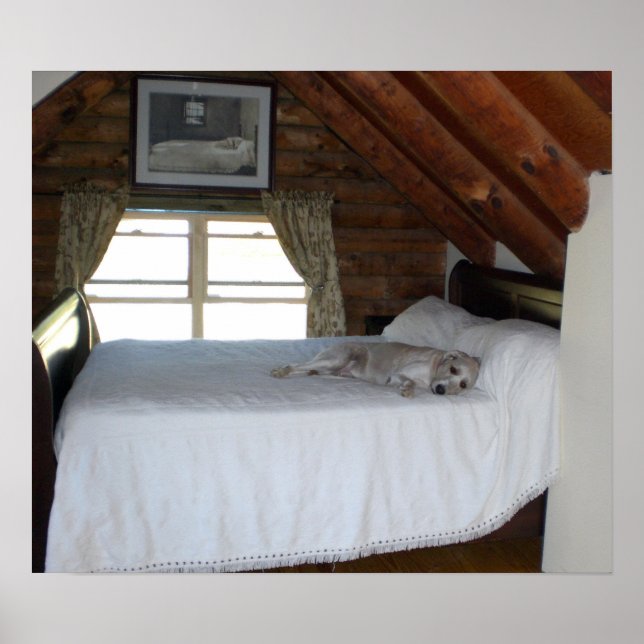 Mästarens Bedroom Poster (Framsidan)