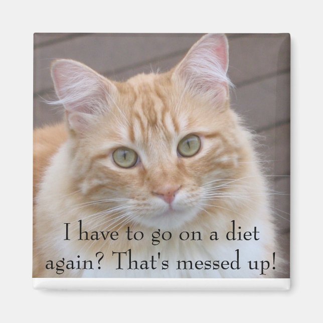 Måste jag äta igen? magnet (Framsidan)