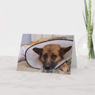 "Måste jag att ha på sig denna? ", Kort