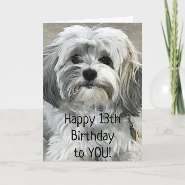 MÅSTE VARA UNDERBAR FÖR ATT VARA EN TEENAGER "13:e Kort (Framsida)