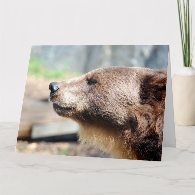 Master Bruin Kort (Framsida)