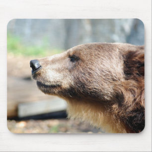 Master Bruin Musmatta