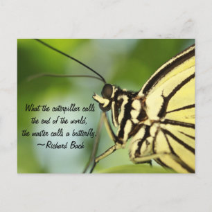 Master Butterfly Photo och Citat Vykort