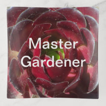 Master Gardener Coastal Plant Photo Red Succulent