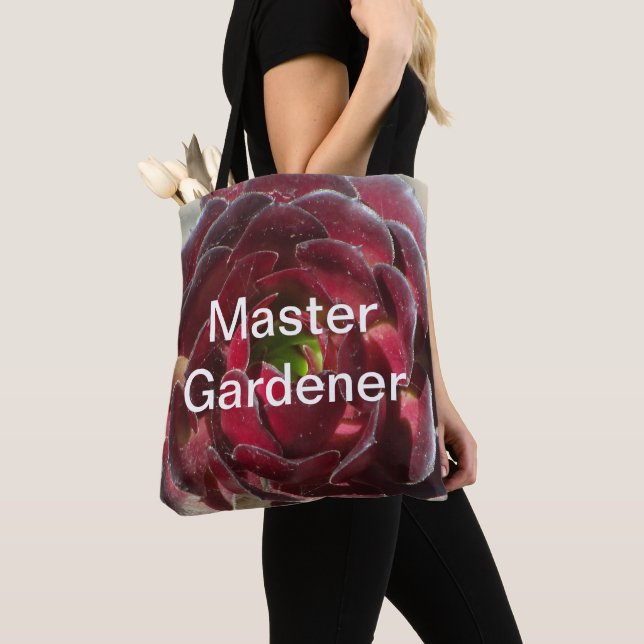 Master Gardener Coastal Plant Photo Red Succulent Tygkasse (Närbild)