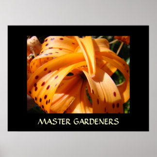 MASTER GARDENERS Konsttryck TIGERLILJOR Konstverk Poster