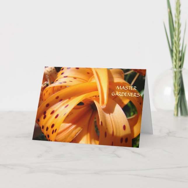 MASTER GARDENERS Skapar vackra världskort Helgkort (Framsida)