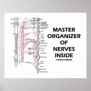 Master Organizer of Nerves Inside (Nervous System) Poster