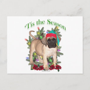 Mastiff 2 "Tis Helg Vykort