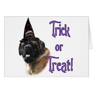 Mastiff (aprikot) Trick Hälsningskort