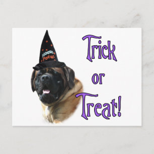 Mastiff (aprikot) Trick Vykort