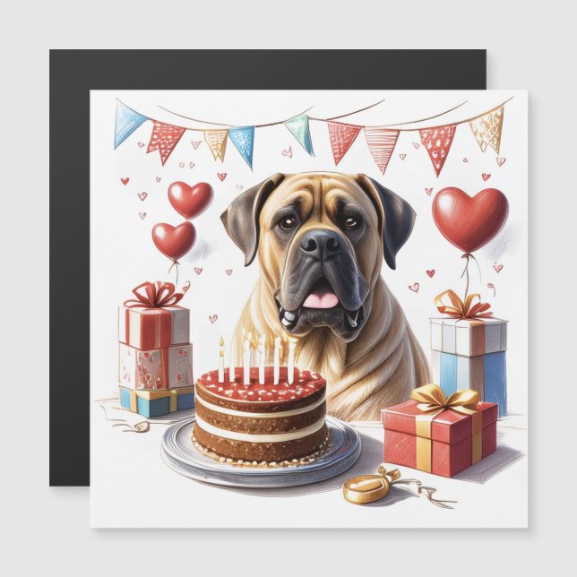 Mastiff auf einer Feier (Fram/baksida)