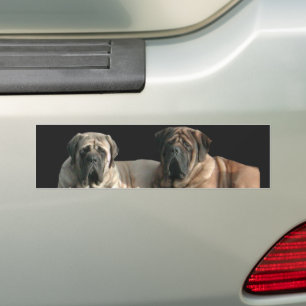 Mastiff Best Friends Bildekal