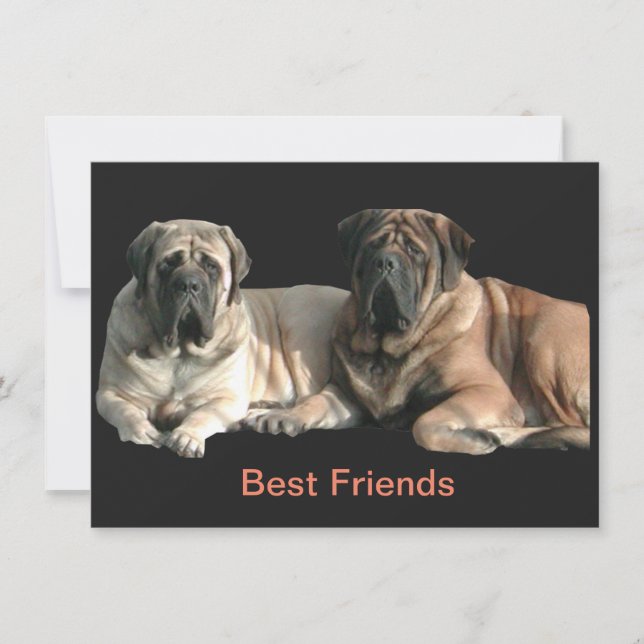 Mastiff Best Friends  Inbjudningar (Framsida)