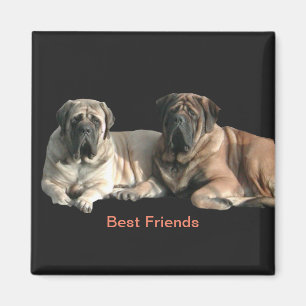 Mastiff Best Friends Magnet