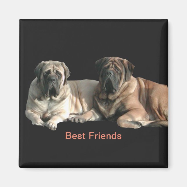 Mastiff Best Friends Magnet (Framsidan)