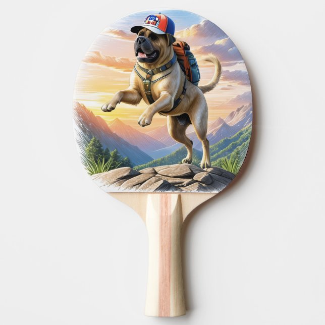 Mastiff englische Dogge im Urlaub im Gebirge Pingisracket (Framsidan)