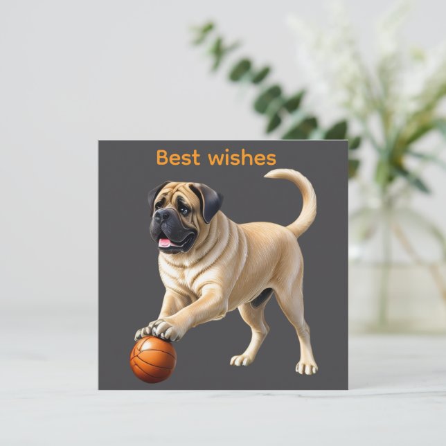 Mastiff englische Dogge mit Ball im Urlaub (Stående Fram)