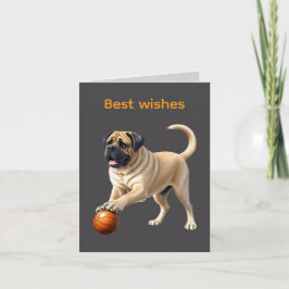 Mastiff englische Dogge mit Ball im Urlaub Kort