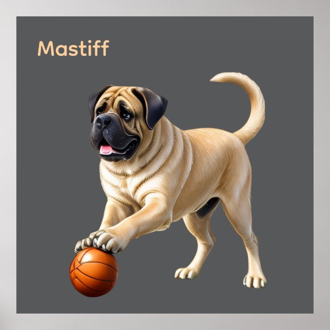 Mastiff englische Dogge mit Ball im Urlaub Poster (Framsidan)