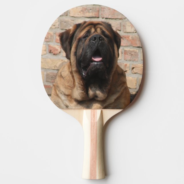 Mastiff englische Dogge Pingisracket (Framsidan)