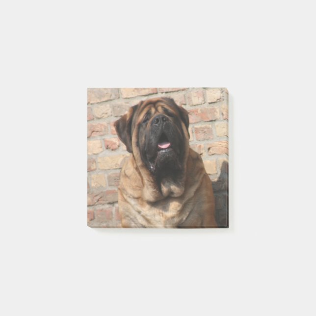 Mastiff englische Dogge Post-it Block (Framsida)
