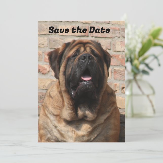  Mastiff englische Dogge Vatertag  Inbjudningar (Stående Fram)