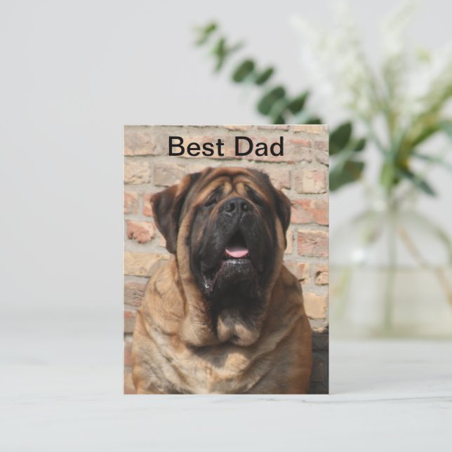  Mastiff englische Dogge Vatertag  Vykort (Stående Fram)