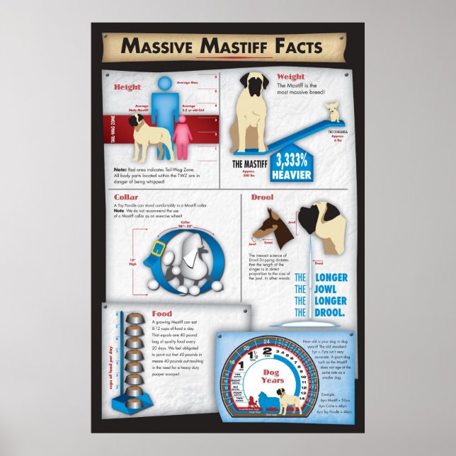 Mastiff Facts Poster (Framsidan)