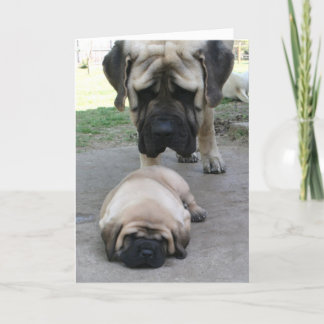Mastiff far och marionettkort Fars dag Kort