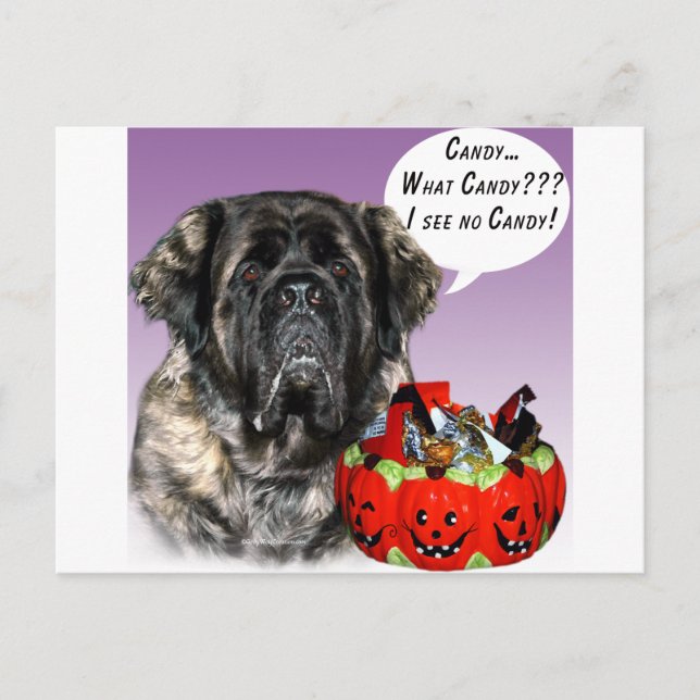 Mastiff (fluffy) Halloween Candy Vykort (Framsida)