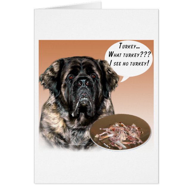 Mastiff (fluffy) Turkiet Hälsningskort (Framsidan)