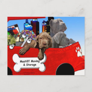 Mastiff Flytta & lagring Vykort