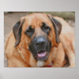 Mastiff Hund Art Photo Painting Poster