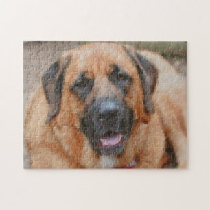 Mastiff Hund Art Photo Painting Pussel