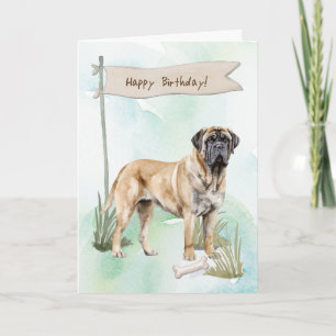 Mastiff Hund aveln utomhus under födelsedagstecken Kort