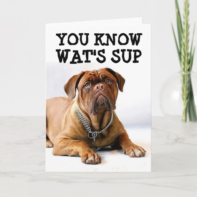 MASTIFF HUND BIRTHDAY FUNNY CARD KORT (Framsida)
