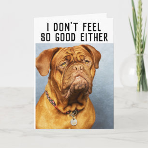 MASTIFF HUND FUNNY FÅ GODA KORT