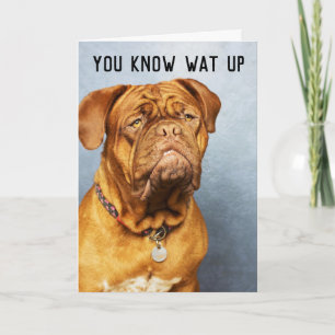 MASTIFF HUND FUNNY FÖDELSEDAGSKORT KORT