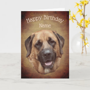 Mastiff Hund Personlig Birthday Card Kort