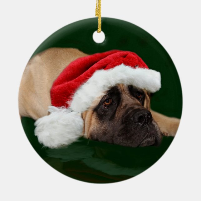 Mastiff i en julhatt julgransprydnad keramik (Baksidan)