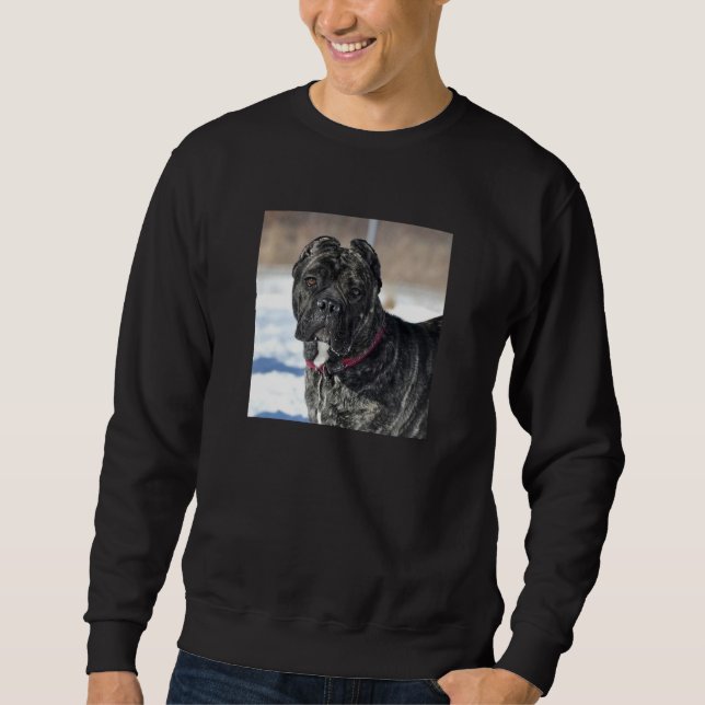 MASTIFF/KÄPP CORSO MANAR SWEATSHIRT (Framsida)