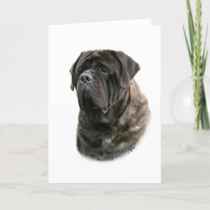 Mastiff Kort