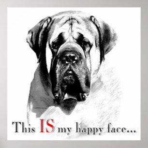 Mastiff Lycklig Ansikte Poster