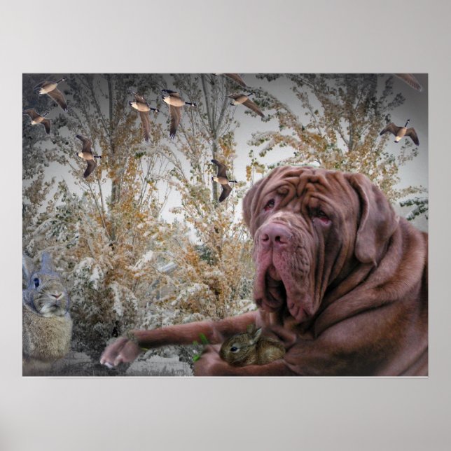 Mastiff med liten kanin Poster (Framsidan)