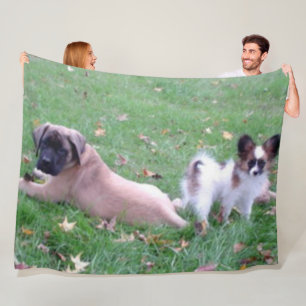 MASTIFF- OCH PAPPILLON PUPPYS FLEECEFILT