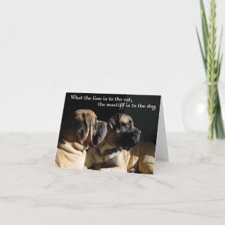 Mastiff-par-kort Kort