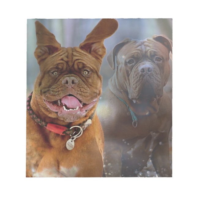 Mastiff Plus Anteckningsblock (Framsida)